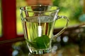 1 peppermint tea 352334 1920 jpg jpeg