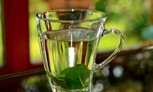 1 peppermint tea 352334 1920 jpg jpeg