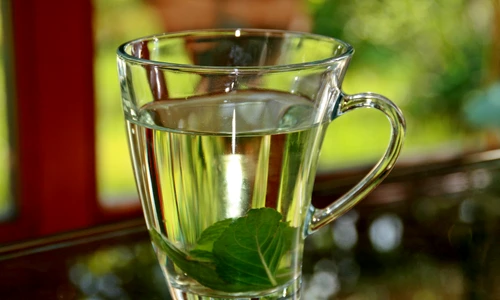 1 peppermint tea 352334 1920 jpg jpeg