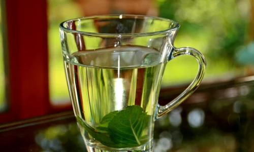 1 peppermint tea 352334 1920 jpg jpeg