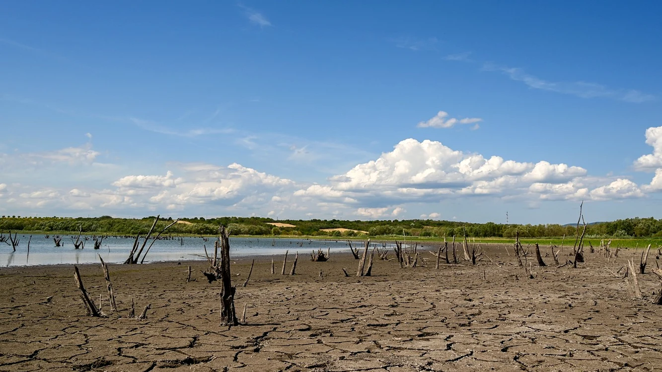 Canicula se întoarce / foto: pixabay