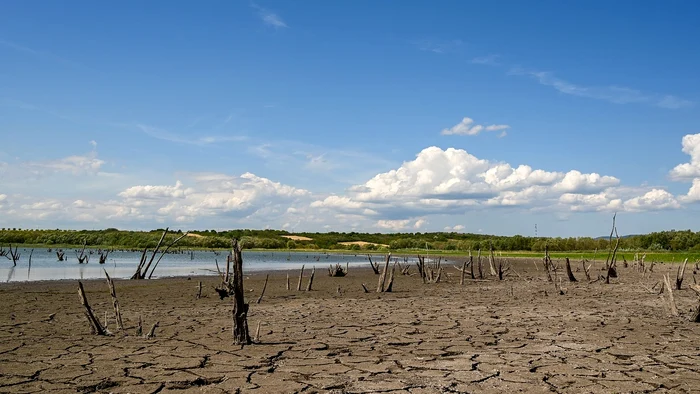 Canicula se întoarce / foto: pixabay