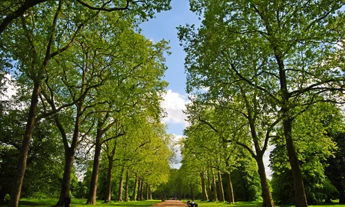 1 shutterstock 456889159 jpg jpeg