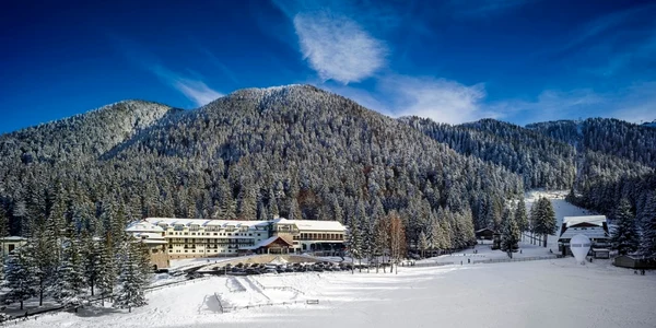 Un Revelion petrecut la Poiana Braşov costă cât salariul minim pe un an FOTO ana hotels