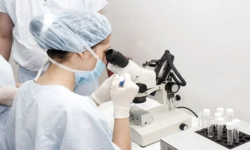 1 84517 original jpg jpeg