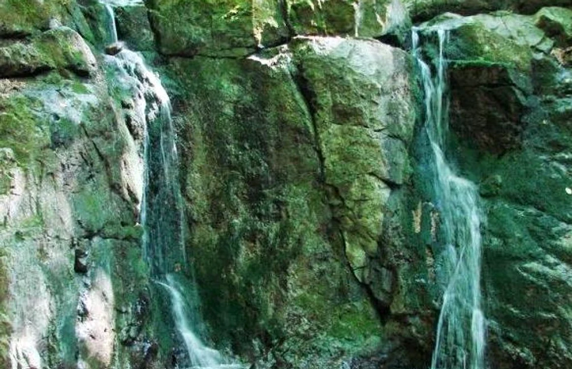 cheile borzestiului foto