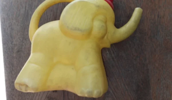 elefant png
