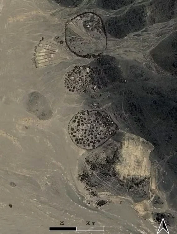 Un grup de situri funerare în incinte, unele recent vandalizate (© Google Earth)