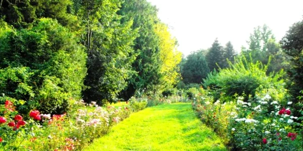 Parcul Hemeiuş 001 848x566 jpg