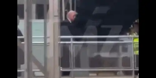 trump  gif gif