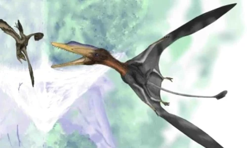 A fost descoperit cel mai mic dinozaur din lume jpeg