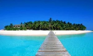 horoscop zilnic 7 noiembrie jpeg