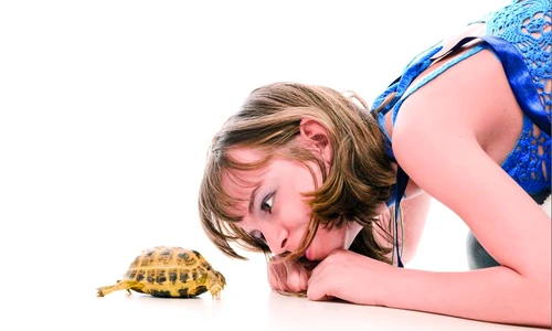 1 51676 original jpg jpeg