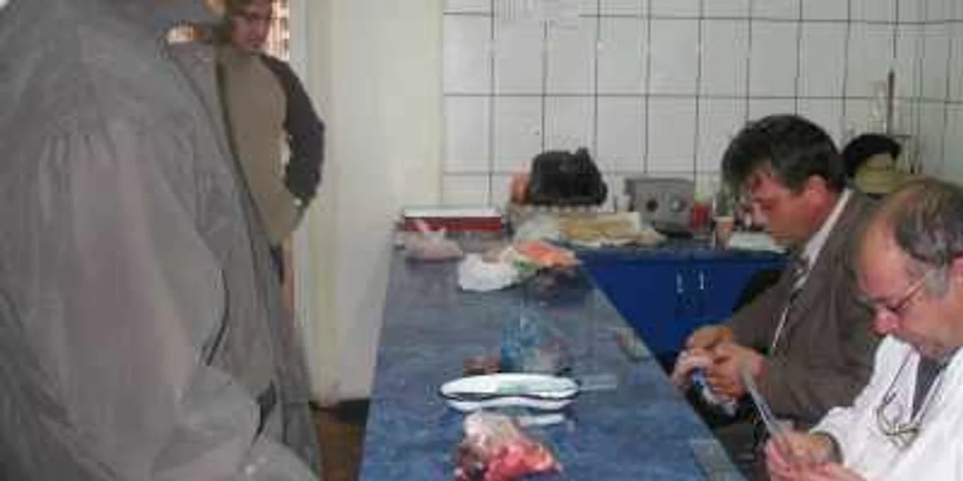 Gorjenii sunt sfătuiţi să testeze carnea înainte de consum