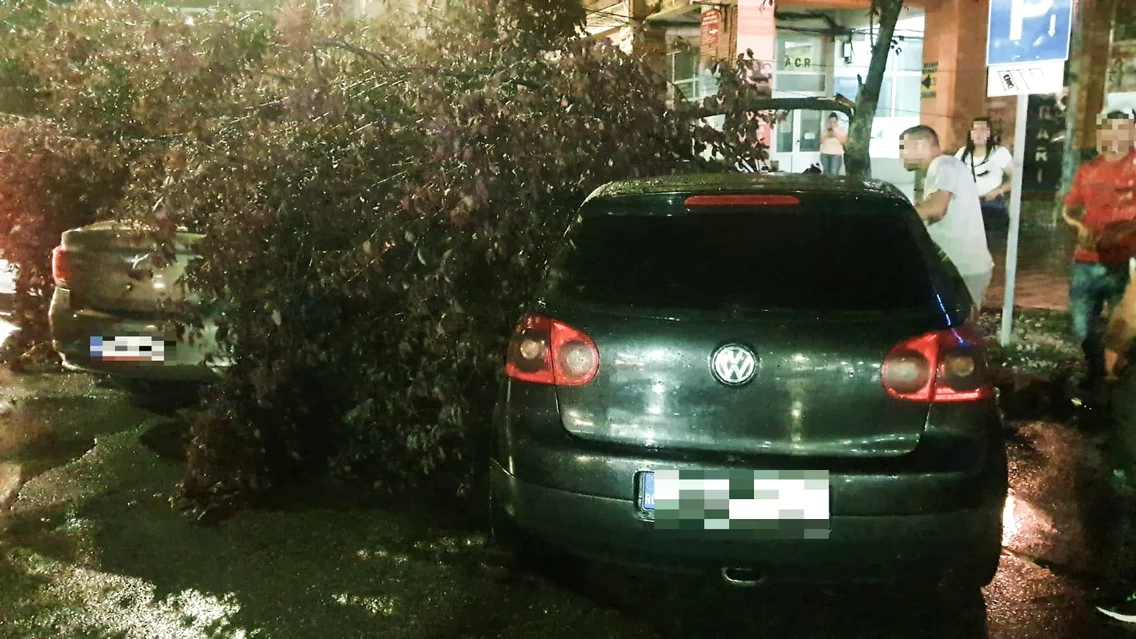 Zeci de arbori au fost rupți de vânt, la Târgoviște și mai multe străzi inundate  FOTO ISU Dâmbovița (10) jpg