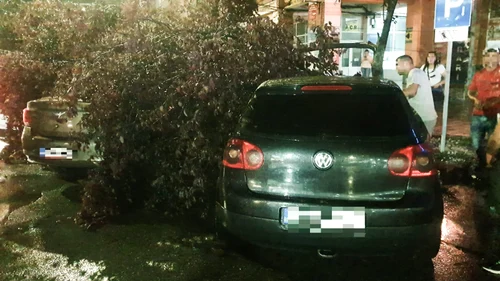 Zeci de arbori au fost rupți de vânt, la Târgoviște și mai multe străzi inundate  FOTO ISU Dâmbovița (10) jpg