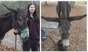 hope magar urechi lungi jpg