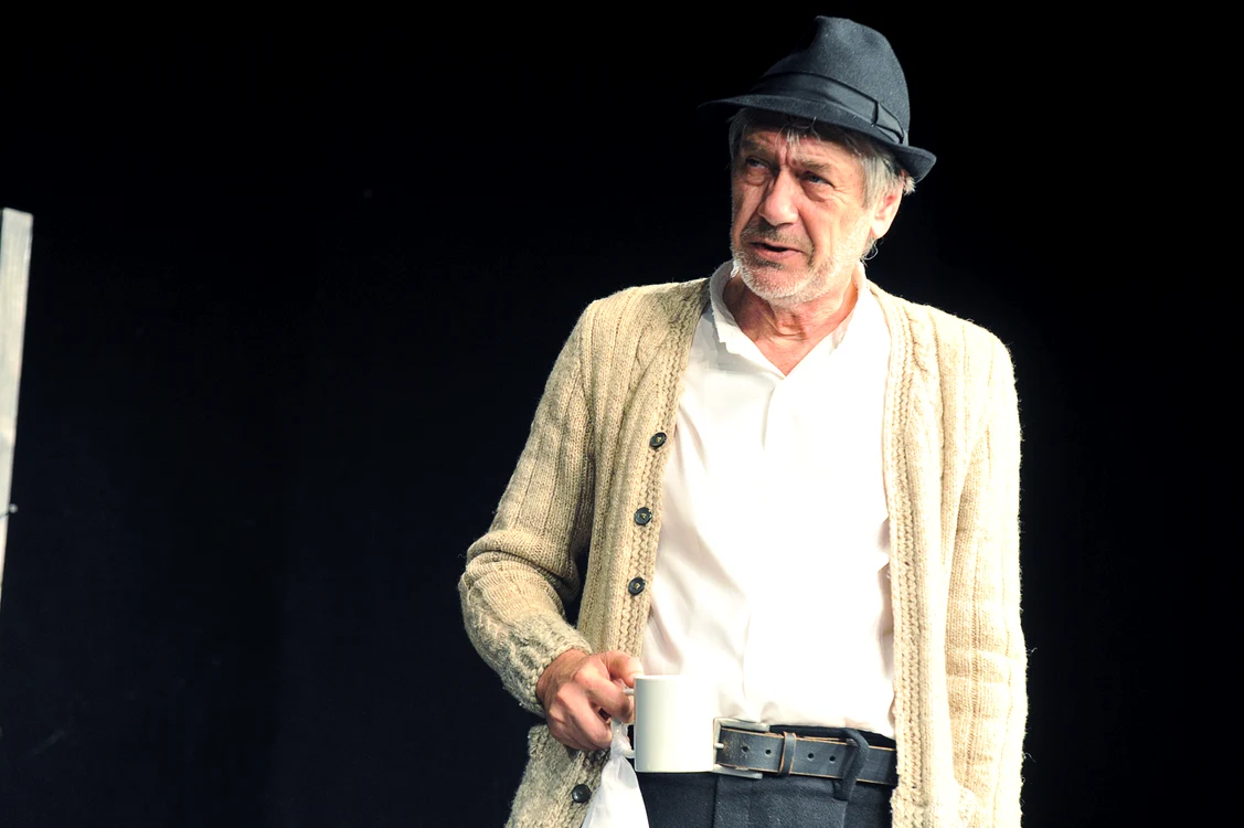 „Am vrut să facem teatru“ interviu cu Marcel IUREŞ jpeg
