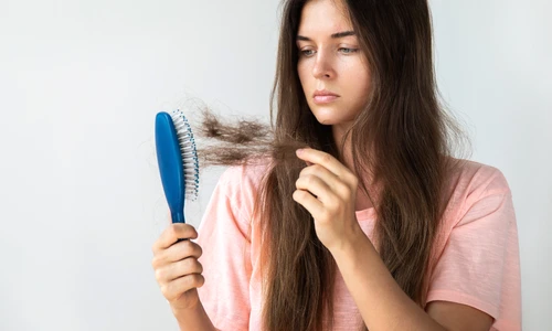 1 shutterstock 1186035433 jpg jpeg