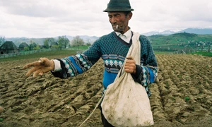 Să pîrjolim pămînturile prin noi înşine! jpeg