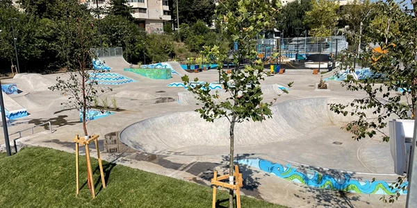 skate jpg