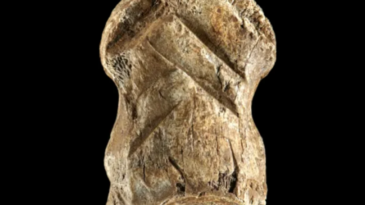 Un os preistoric sculptat ar putea fi cea mai veche lucrare de artă din lume descoperită vreodată png