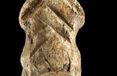 Un os preistoric sculptat ar putea fi cea mai veche lucrare de artă din lume descoperită vreodată png