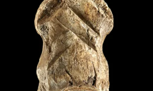 Un os preistoric sculptat ar putea fi cea mai veche lucrare de artă din lume descoperită vreodată png