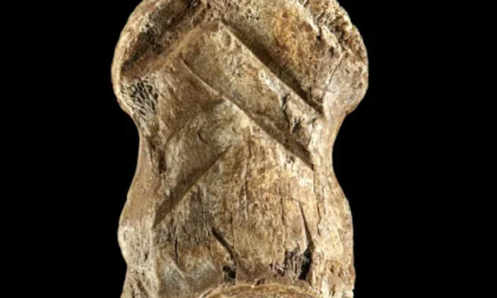 Un os preistoric sculptat ar putea fi cea mai veche lucrare de artă din lume descoperită vreodată png