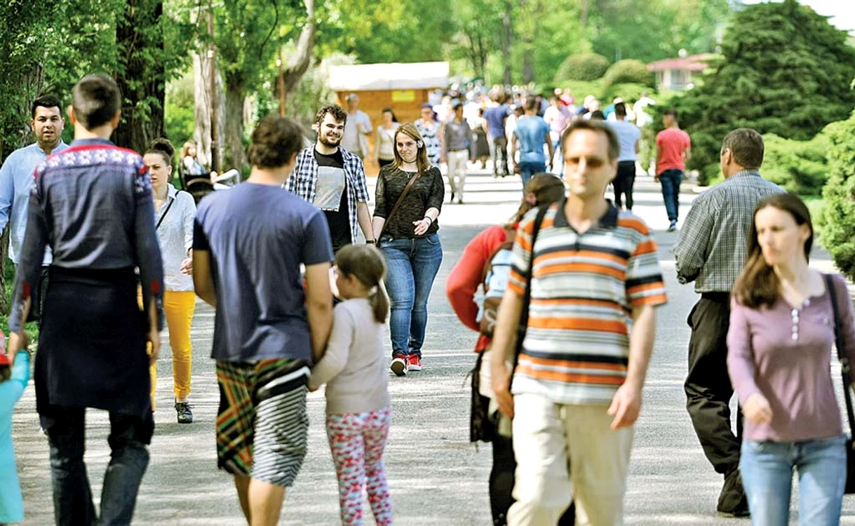 
    Vreme perfectă  pentru ieșiri în natură  