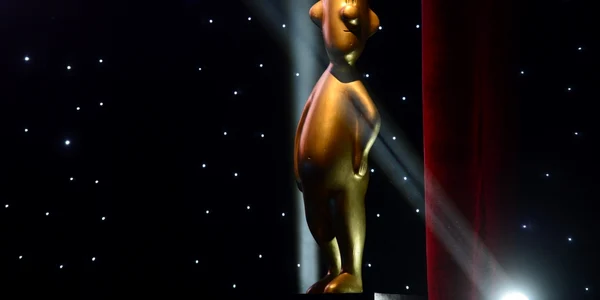 premiile gopo foto mediafax octav ganea