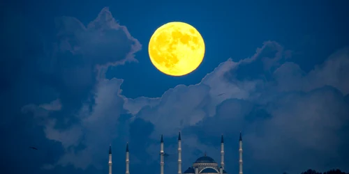 Istanbul, Turcia profimedia 0922549255 jpg