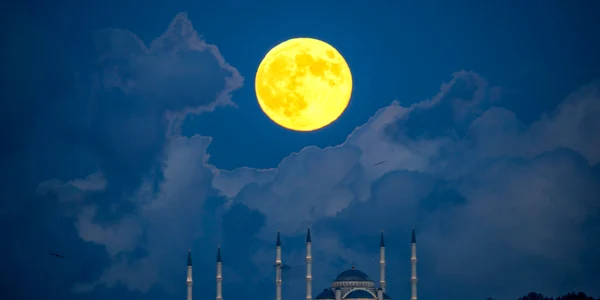 Istanbul, Turcia profimedia 0922549255 jpg
