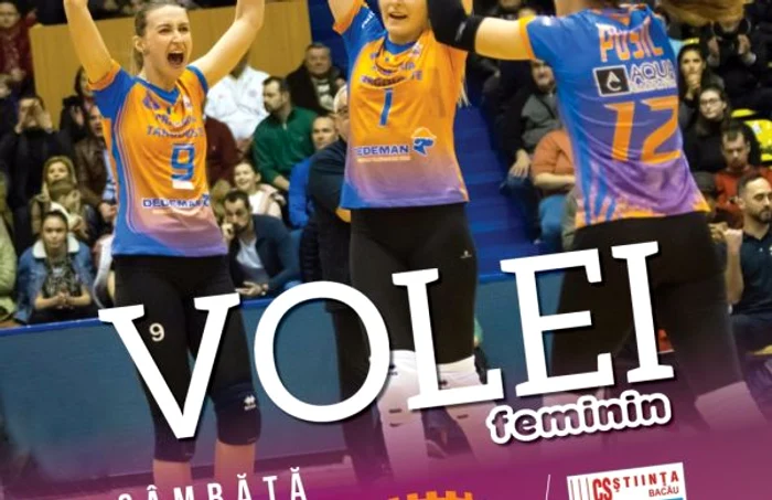 csm targoviste volei