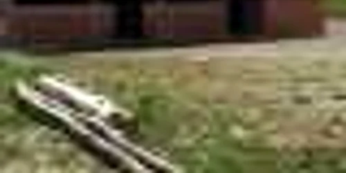 Baze sportive, începute şi abandonate din lipsă de fonduri