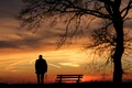 sunset 3156176 1920 jpg