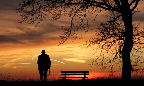 sunset 3156176 1920 jpg
