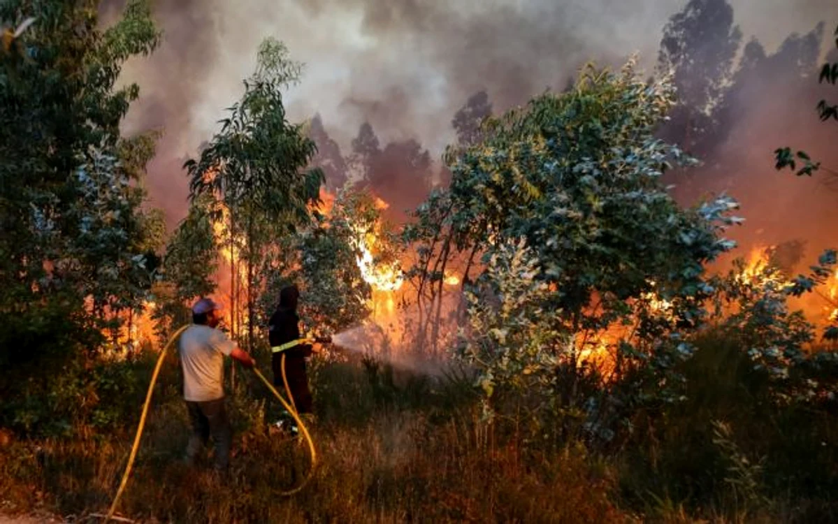 Un pompier şi un voluntar stingând un incendiu în Portugalia FOTO EPA-EFE