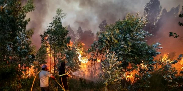 Pompieri stingand incendii in Portugalia FOTO EPA-EFE