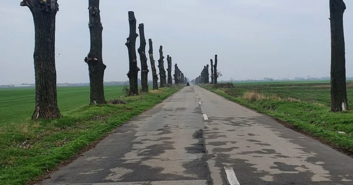 toaletare judetul dolj Foto Adrian Prisnel