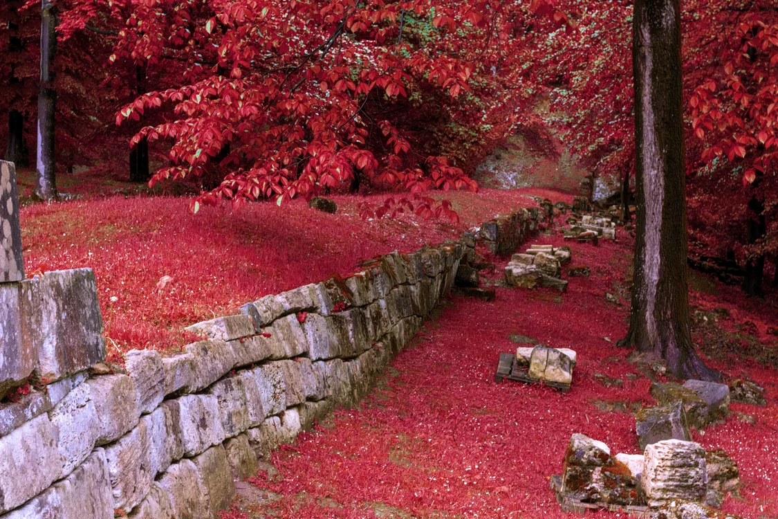 Zidurile dacice FOTO Shutterstock