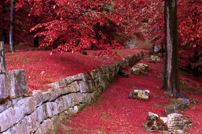 Zidurile dacice FOTO Shutterstock