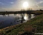 balta lebedelor hunedoara foto daniel guta adevarul