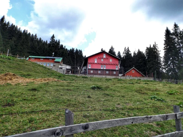 cabane bucegi