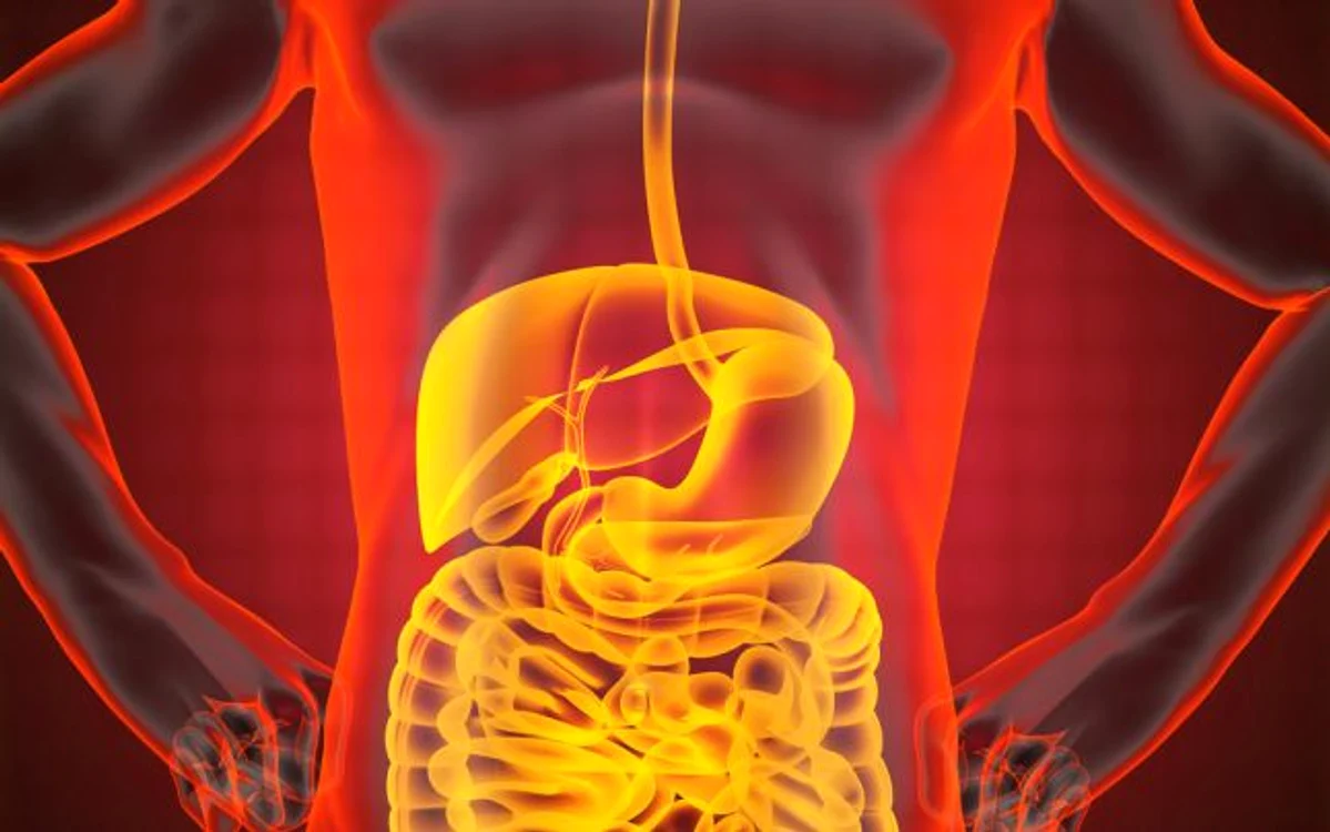În mod evident, creierul din intestine nu are emoţii, dar dacă le poate influenţa pe cele din creierul principal? FOTO Shutterstock