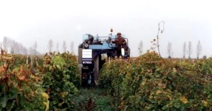 Focşani: Două milioane de litri de motorină pentru agricultori