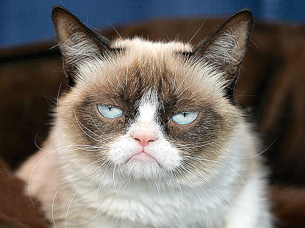 Grumpy