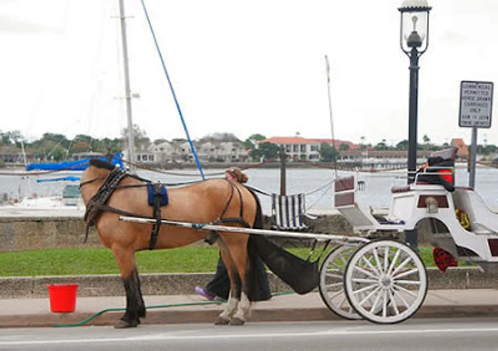 Ai jura că e Photoshop, dar e doar realitate. Imagini care te lasă perplex