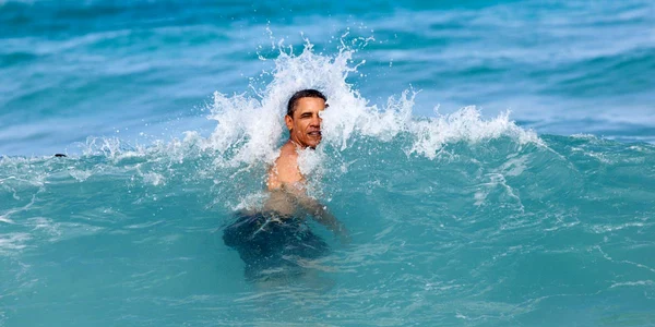 obama foto pete souza/ casa alba