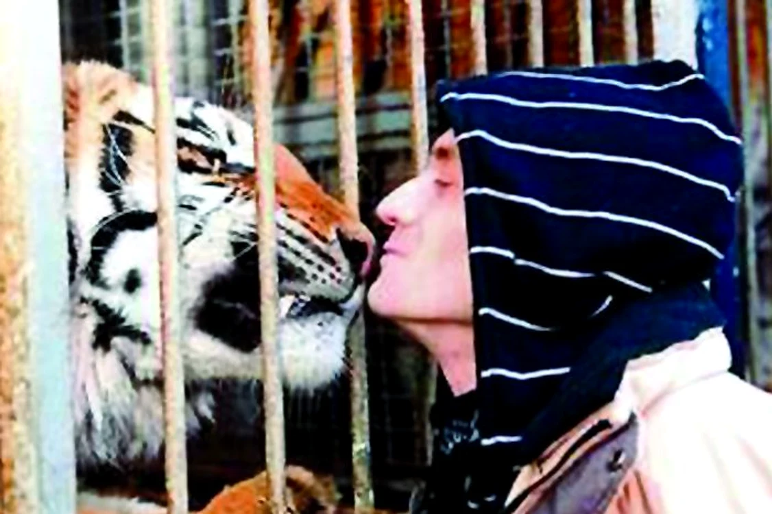 
    18 ianuarie:Dresorul sărută tigrul care l-a atacat  